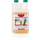 CANNA TERRA VEGA